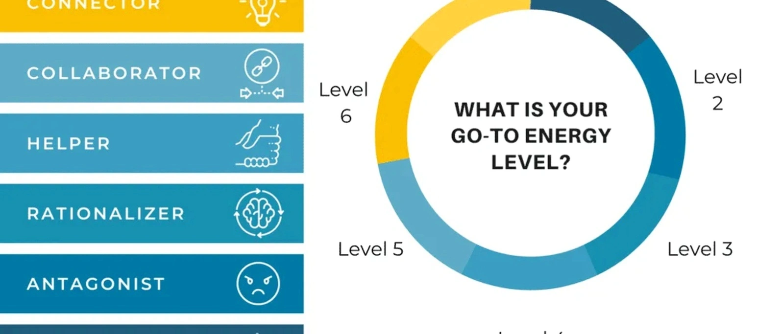 Professional energy management coaching session